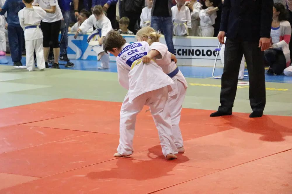 Fotografie z akce 2. ročník "ŠKOENERGO CUP " - MLADÁ BOLESLAV