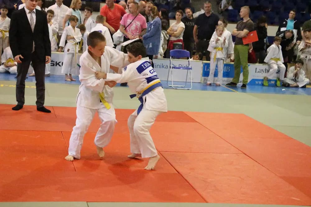 Fotografie z akce 2. ročník "ŠKOENERGO CUP " - MLADÁ BOLESLAV
