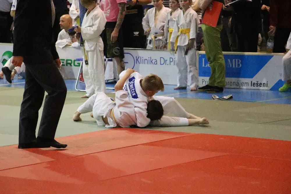 Fotografie z akce 2. ročník "ŠKOENERGO CUP " - MLADÁ BOLESLAV