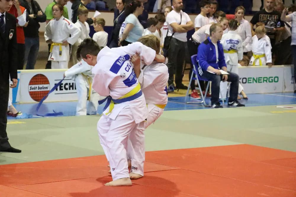 Fotografie z akce 2. ročník "ŠKOENERGO CUP " - MLADÁ BOLESLAV