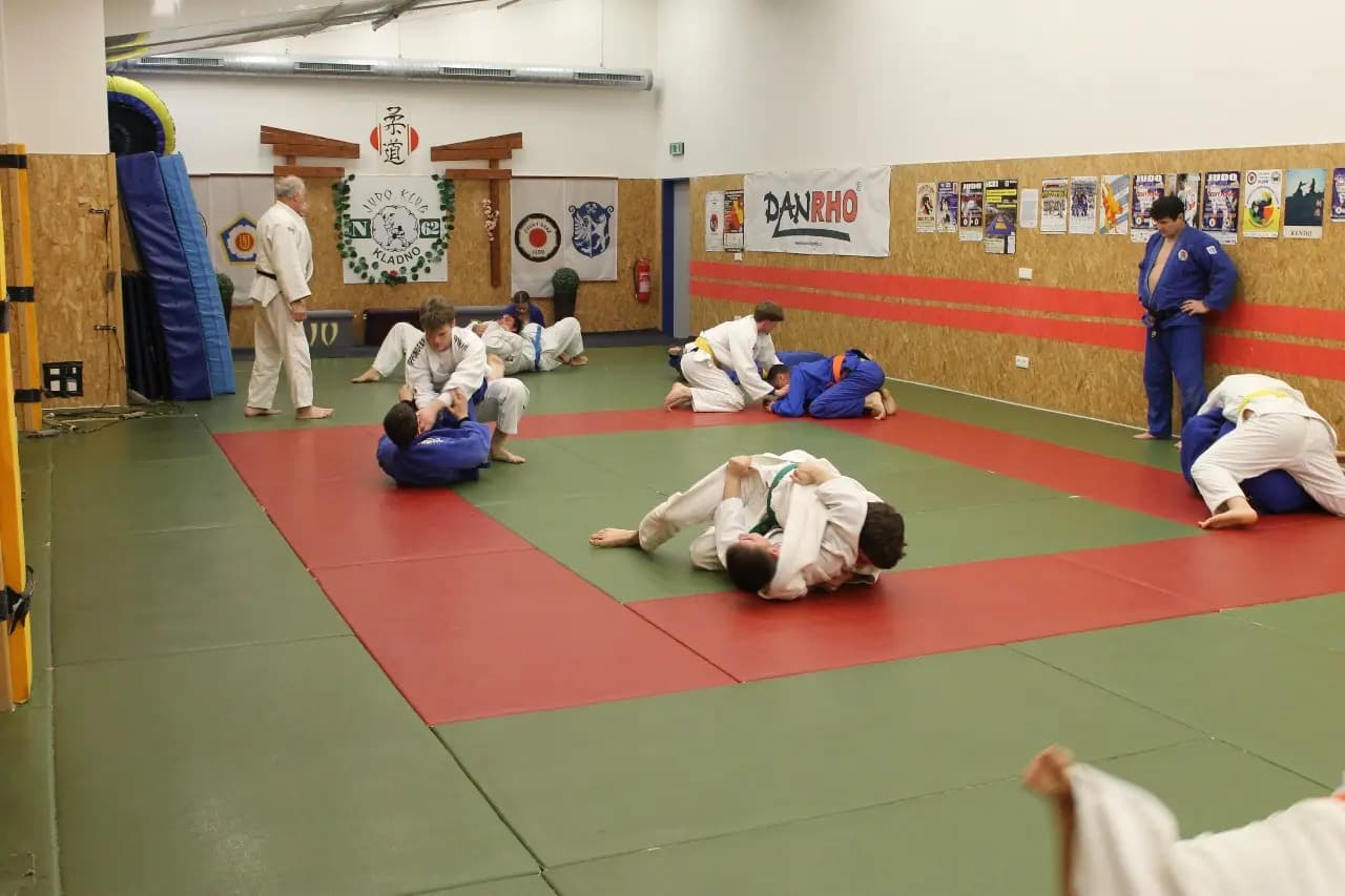 Fotografie z akce ČLENOVÉ ODDÍLU JUDO KLADNO N62
