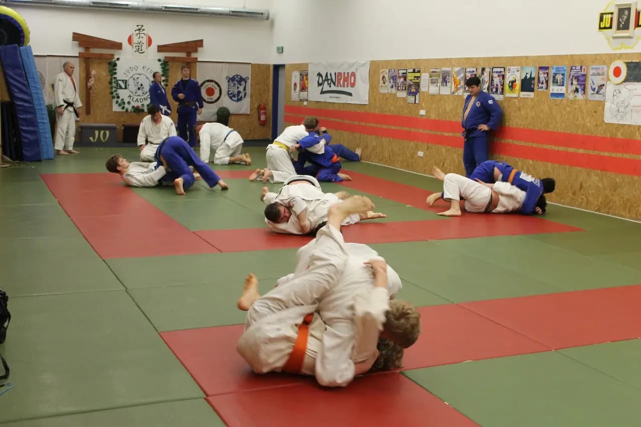 Fotografie z akce ČLENOVÉ ODDÍLU JUDO KLADNO N62