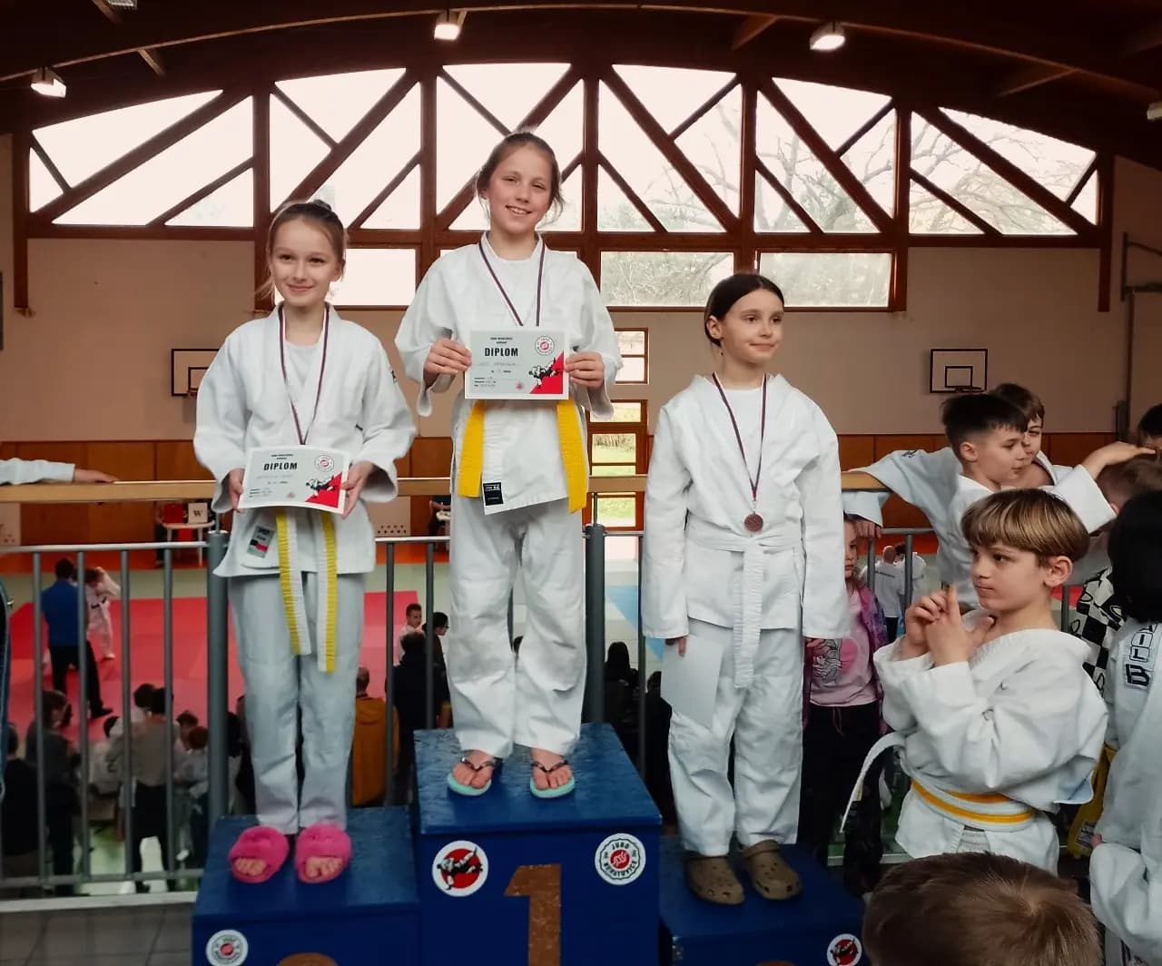 Fotografie z akce MEZI ODDÍLOVÉ RANDORI - NERATOVICE